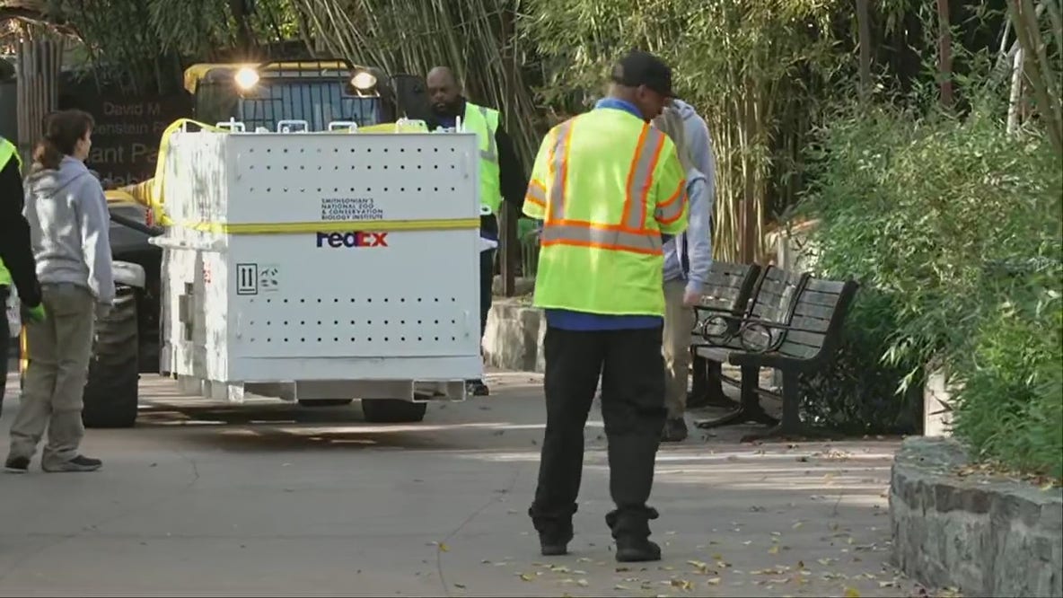 Giant panda Tian Tian departs DC’s National Zoo for China
